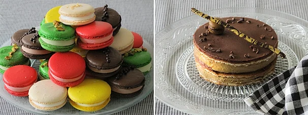 אייסברג יס פלאנט