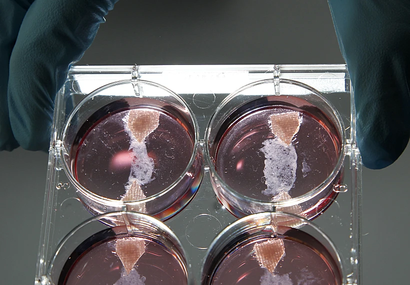 מארק פוסט מציג בשר שגודל במעבדה