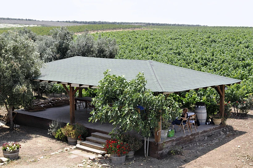 סוכת כרמי יוסף ברבדו