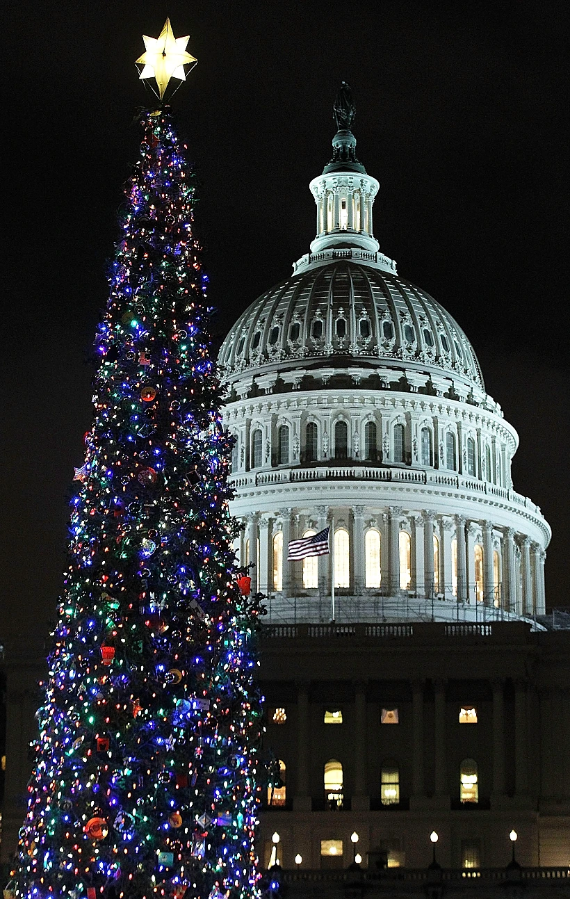 2011. עץ אשוח - על גבעת הקפיטול, וושינגטון, ארה