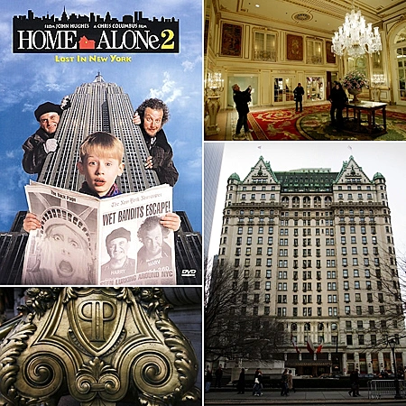 טיולים בעקבות קומדיות