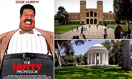 טיולים בעקבות קומדיות