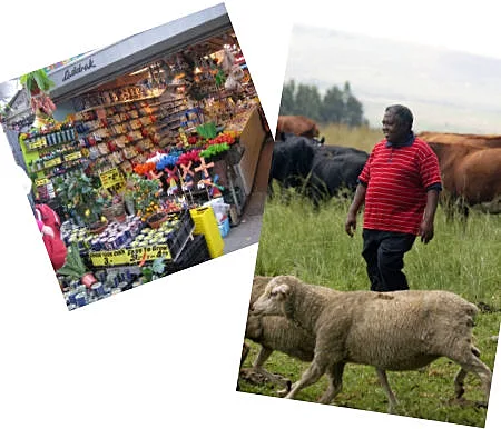 העיר  מדריד