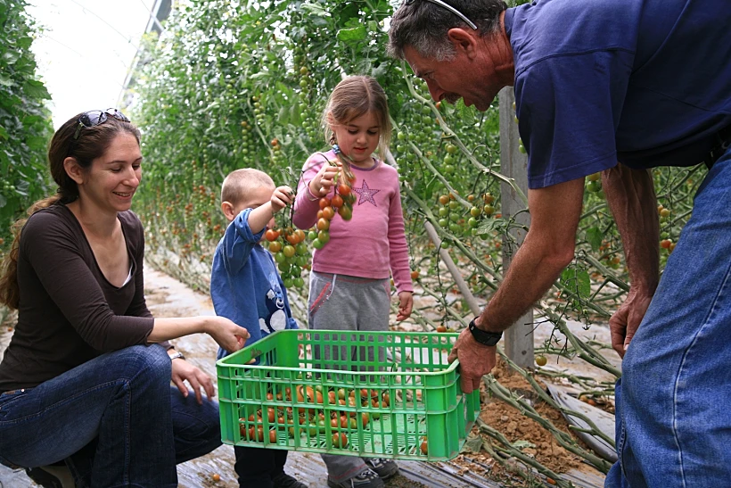 מהשדה לצלחת