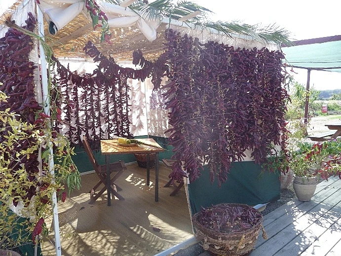 אירועים סוכות,