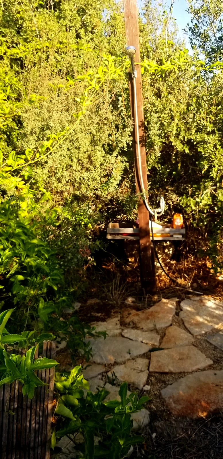 המקלחת בביתה של סבינה מסג