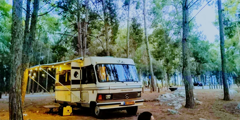 ביתו של נתי הורטיג