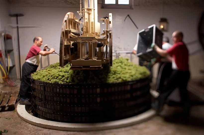 תמונה של הכנת שמפניה בבית קרוג לכתבה על טיול יינות בחבל שמפאן תמונה בגודל מותאם אישית