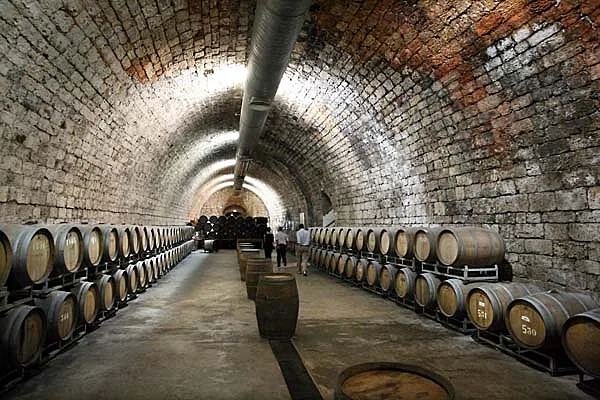 תמונה מתוך הבלוג http://www.wineterroirs.com/ לכתבה על הבלוג. בתוך הכתבה על כל הרוחב