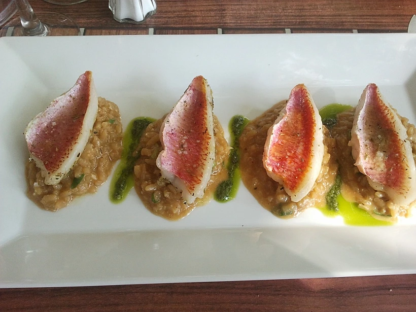 ברבוניות על ריזוטו בקפה גסקון לכתבת טיול בפרובאנס