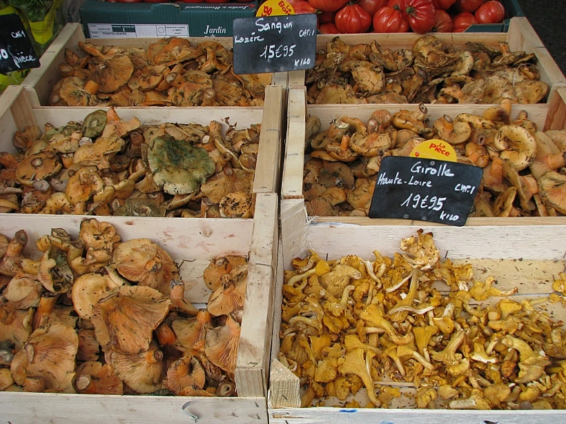 פריות, בכל מיני צורות, בשוק של איל סור לה סורג לכתבת טיול בפרובאנס