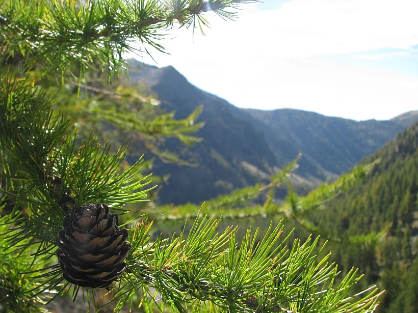 נוף משמורת הטבע מארקנטור בצרפת לכתבת טיול בפרובאנס