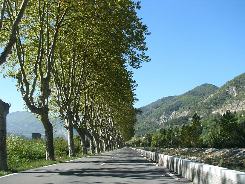 אפילו הדרכים יפות. נסיעה בפרובאנס לכתבת טיול בפרובאנס