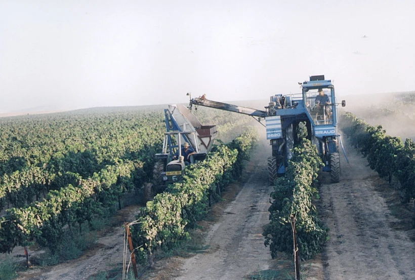 בציר ביקב יתיר