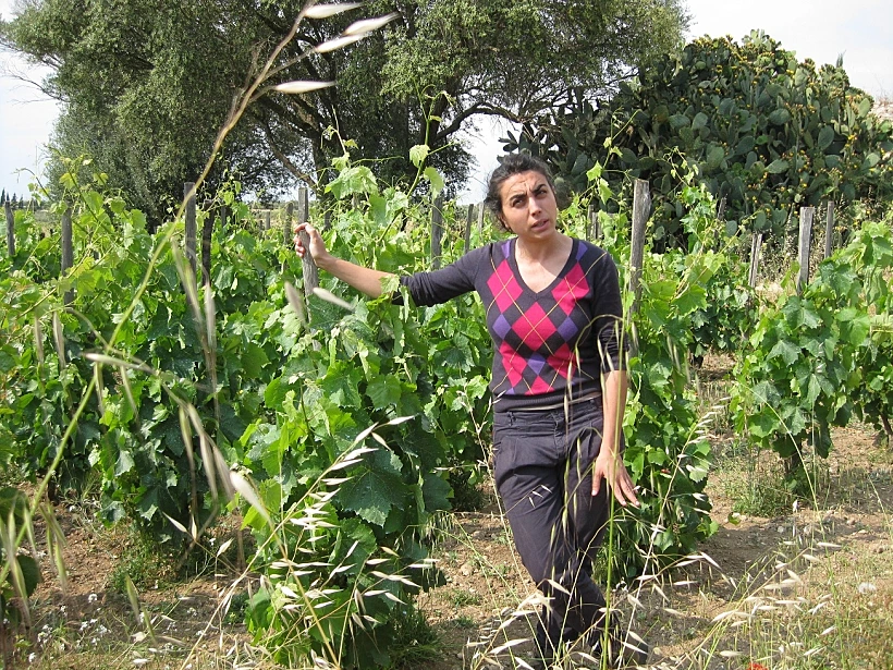 תמונה מותאמת אישית לכתבה על סיציליה
