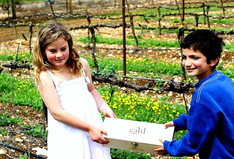 חפש את המטמון ביקב הרי גליל מותאם אישית