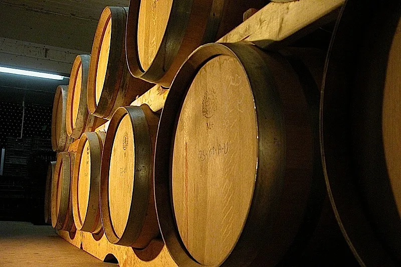 מרכז מבקרים של יקב אסף ברמת הגולן, בתוך הכתבה על כל הרוחב