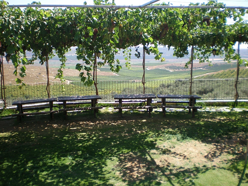 יקב מוני, כתבה על טיולי יקבים, מותאם אישית