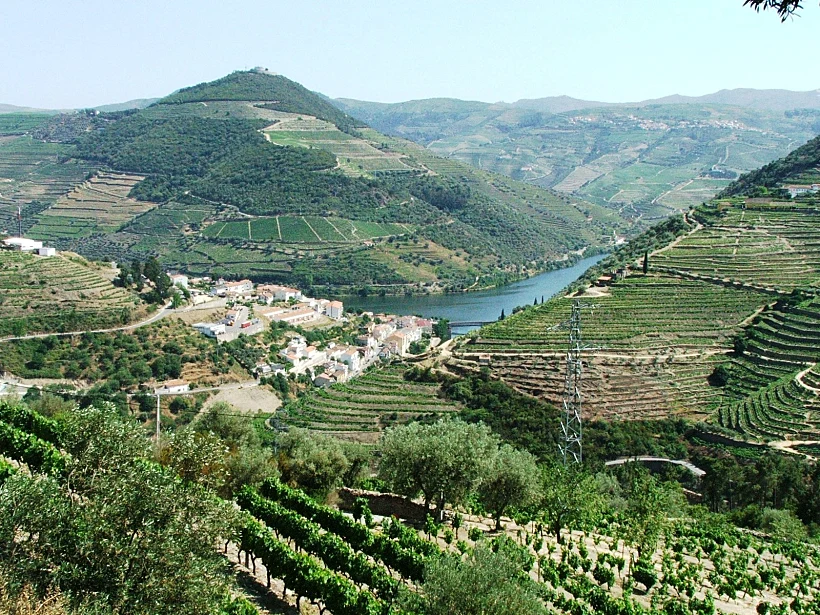 כתבה על טיול יין בפורטוגל, תמונה ראשית ולהפניות