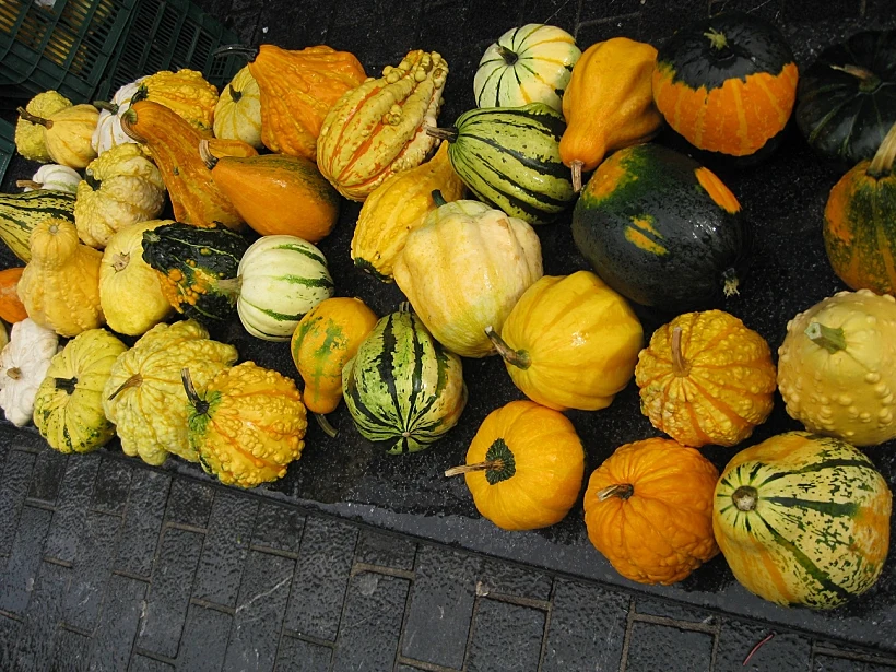 מתוך כתבה על טיול בחבל הבאסקים בספרד בעולם היין תמונה בגודל מותאם אישית ולהפניות