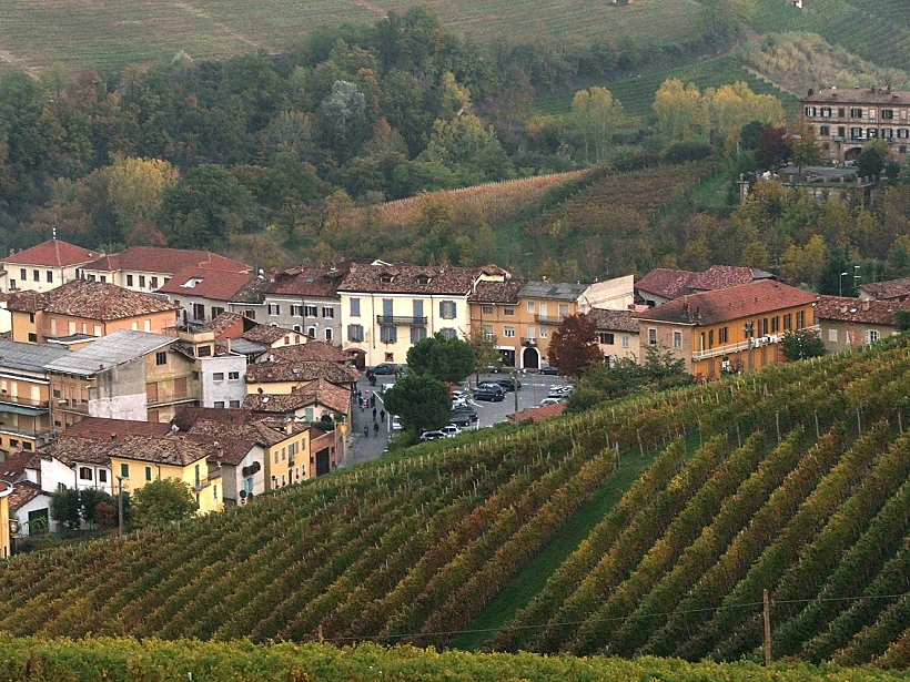 כרם בחבל פיאמונטה לכתבה על טיול יינות באזור. תמונה בגודל מותאם אישית