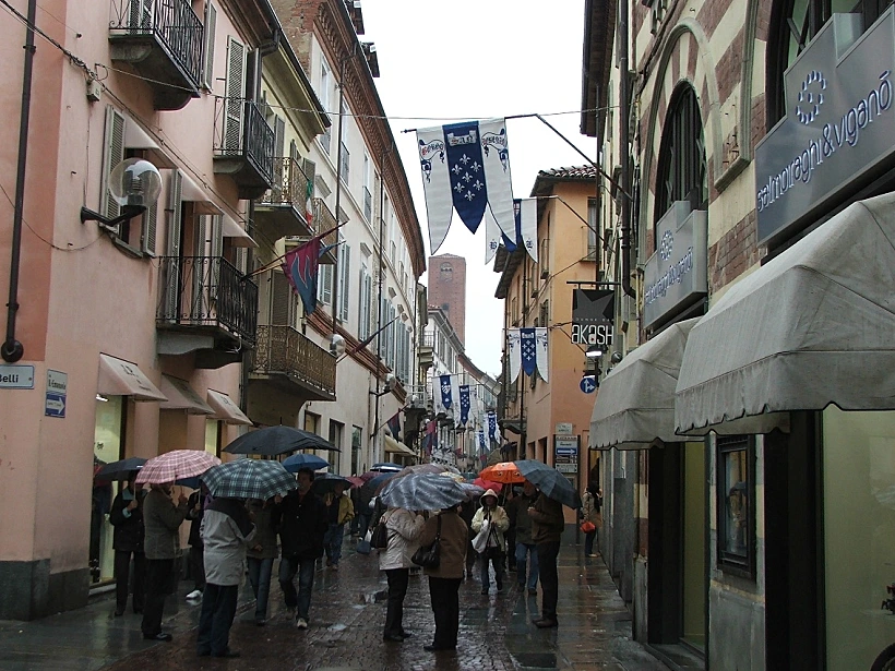 כרם בחבל פיאמונטה לכתבה על טיול יינות באזור. תמונה בגודל מותאם אישית