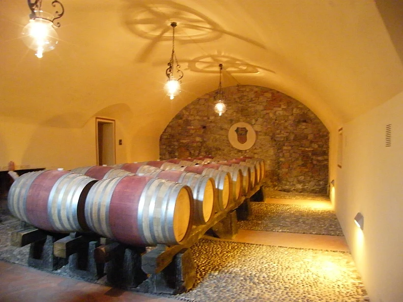 תמונה של מרתפי יקב רופינו בטוסקנה לכתבה על טיול יין באזור תמונה בגודל מותאם אישית