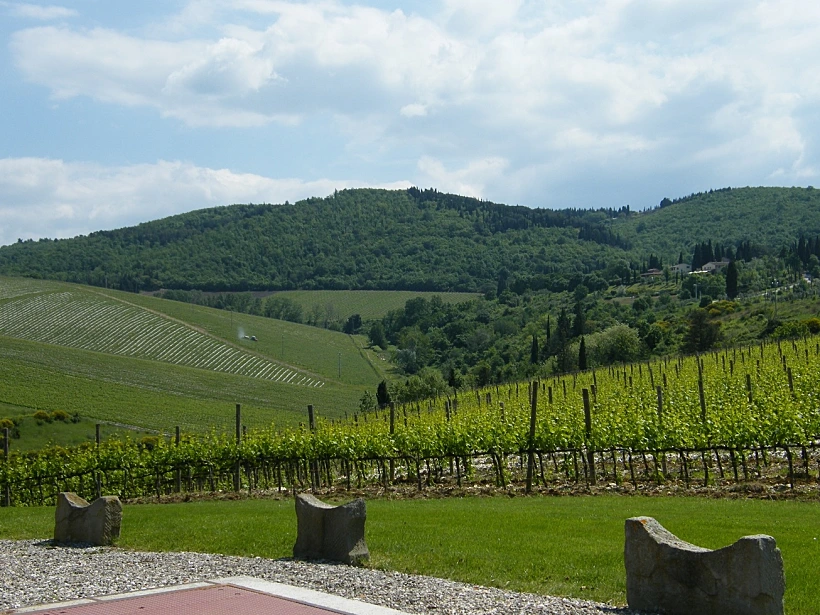 תמונה של יקב טיניאנלו בטוסקנה לכתבה על טיול יין באזור תמונה בגודל מותאם אישית