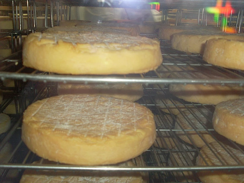 כתבה על טיול יין בבורגון בצרפת, תמונה בתוך הכתבה על כל הרוחב