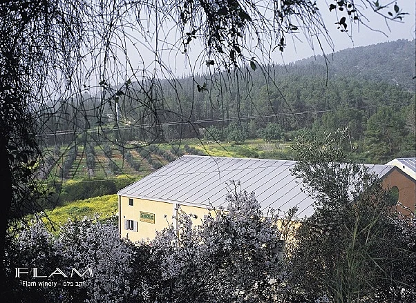 תמונה של יקב פלם, כתבה על סיור יקבים באזור. תמונה בתוך הכתבה על כל הרוחב