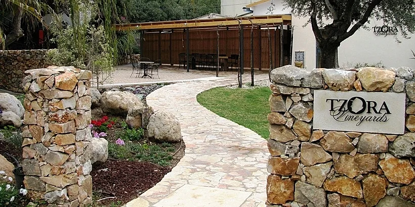 תמונה של יקב צרעה, כתבה על סיור יקבים באזור. תמונה בתוך הכתבה על כל הרוחב