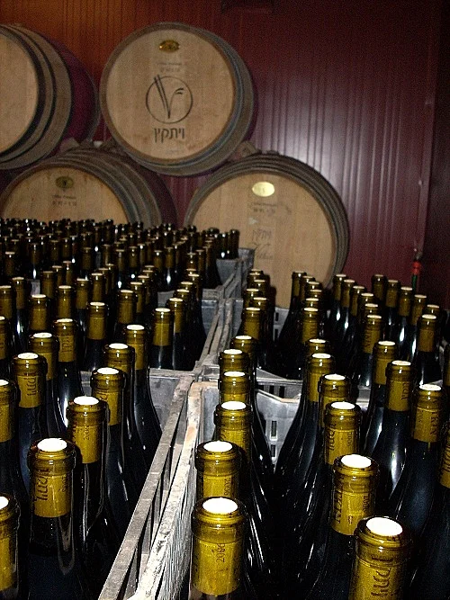 תמונה ליקב ויתקין, כתבה על טיול יקבים באזור השרון, תמונה בתוך הכתבה