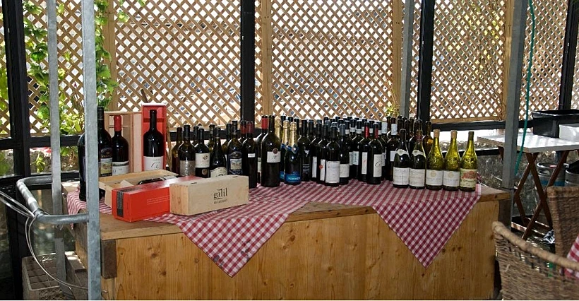 ראיון על יין למתחם עולם היין עם מנהל הבר של מסעדת ויקי כריסטינה תמונה בתוך הכתבה על כל הרוחב