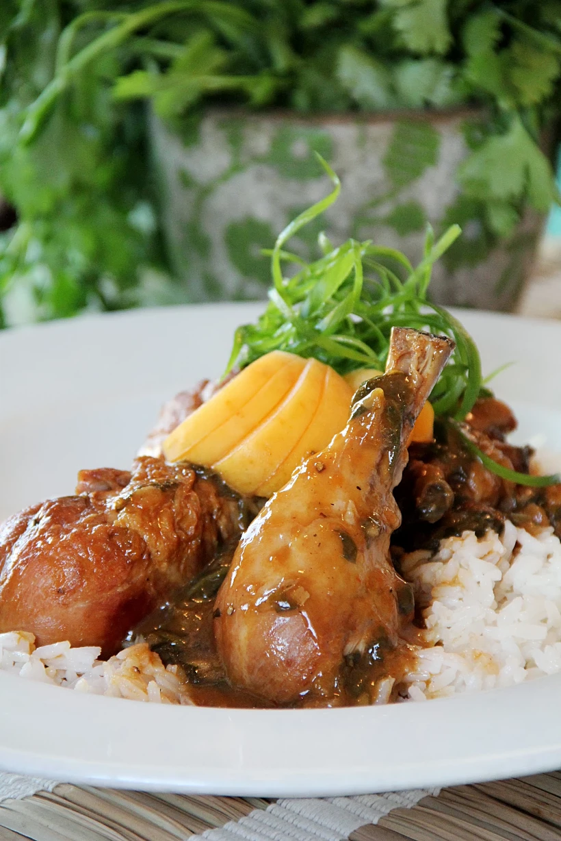 תבשיל עוף ברוטב משמשים