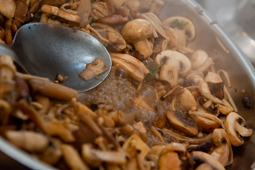 פסטה ברוטב פטריות לעולם היין תמונה ראשית ולהפניות