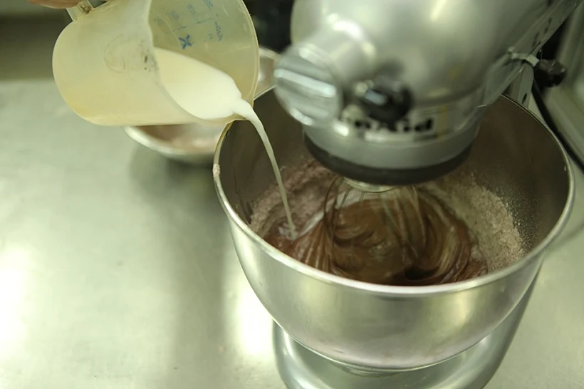 עוגת היער השחור