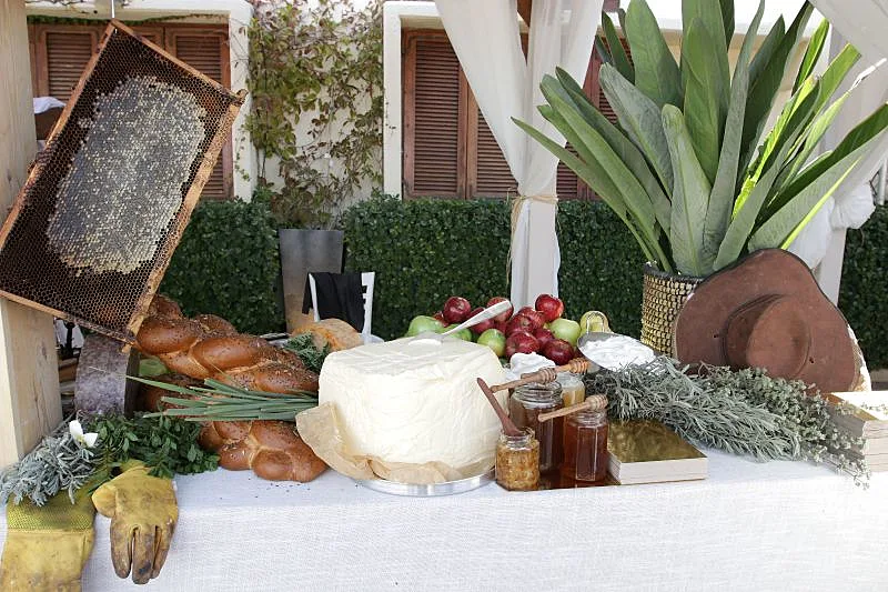 C5cba64a 2346 484e 8b2d 4fcceb