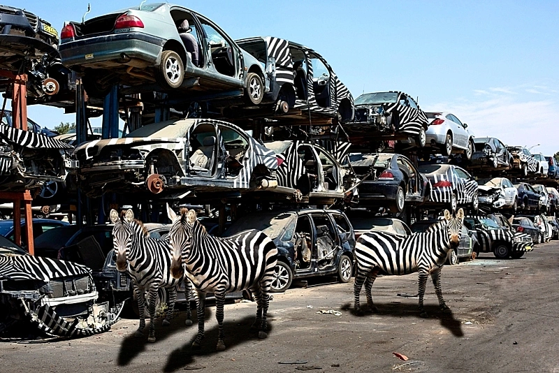 נתיב האבדון, חורף 2065 - בני אפרת ( צילום: יח