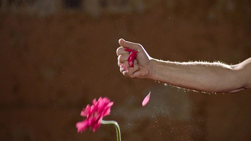 Only one story(צילום: וידאו סטיל )