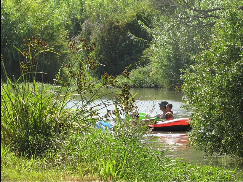 שטים ונהנים