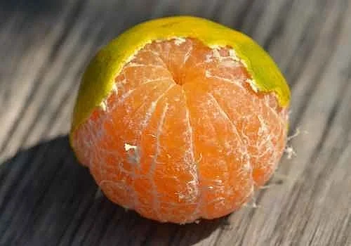 נטלי דדון הפגיזה עם לוק שלא חשבנו עליו