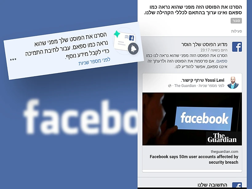 הכתבה שהוסרה על ידי פייסבוק