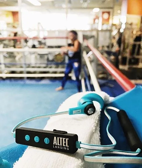 אלטק לנסינג