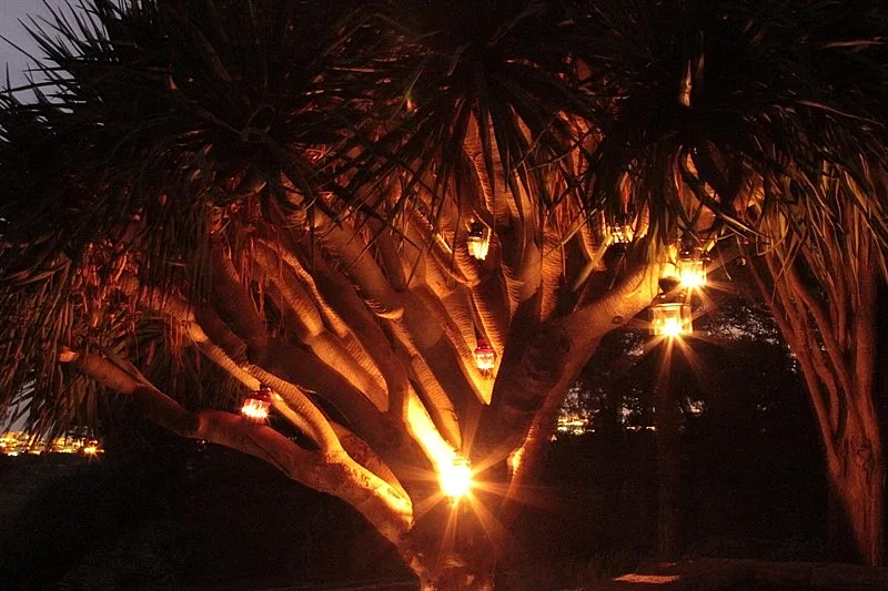 רמת הנדיב עששיות