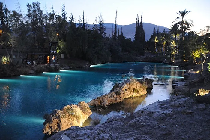 פעילות לילה