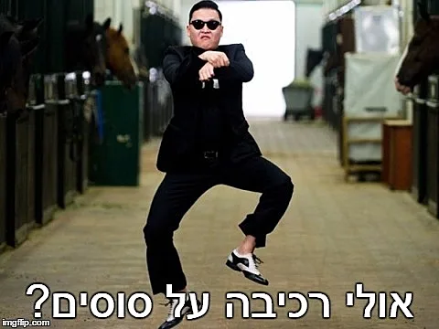 היט גירלז