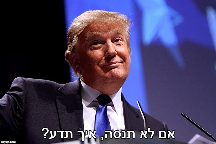 היט גירלז