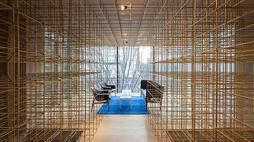 כלבו בסיאול