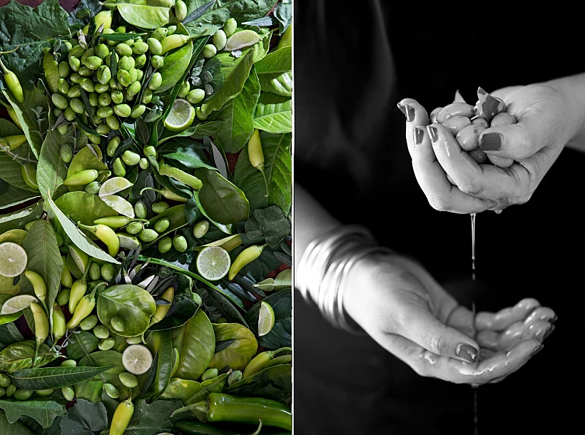 זית - ירוק, שפית נוף עתאמנה אסמעיל