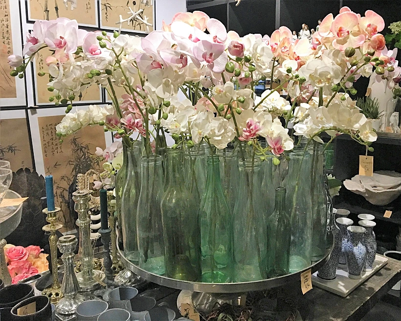 מזהים מה זה?, צילום לירון סימסולו דגן